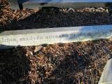 image of grave number 351711